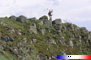 Auvergne