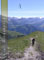Hahnenmoos